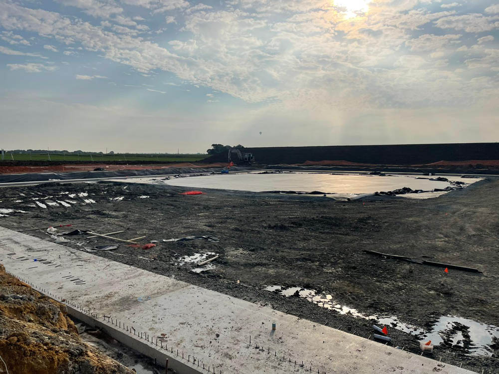 ad plant 17
