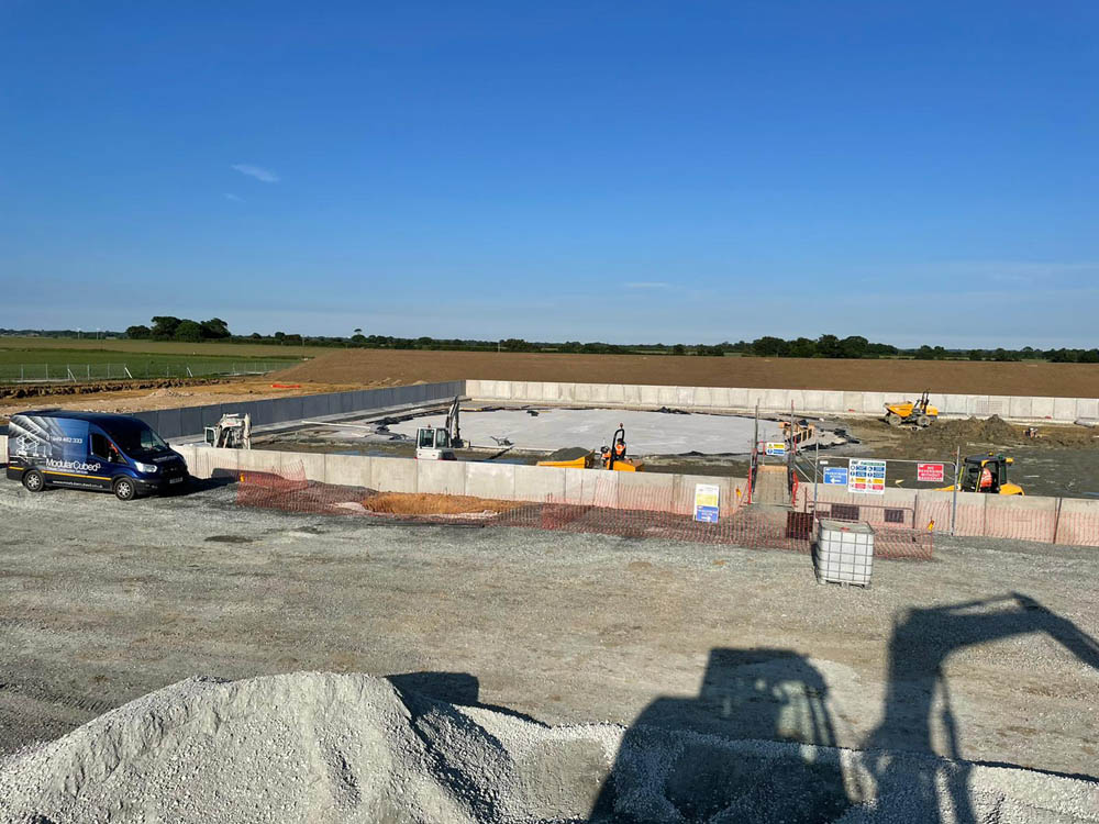 ad plant 24