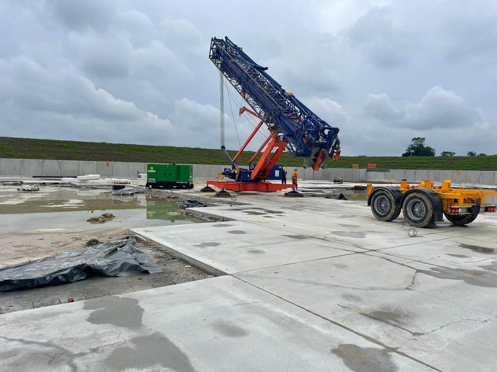 ad plant 35