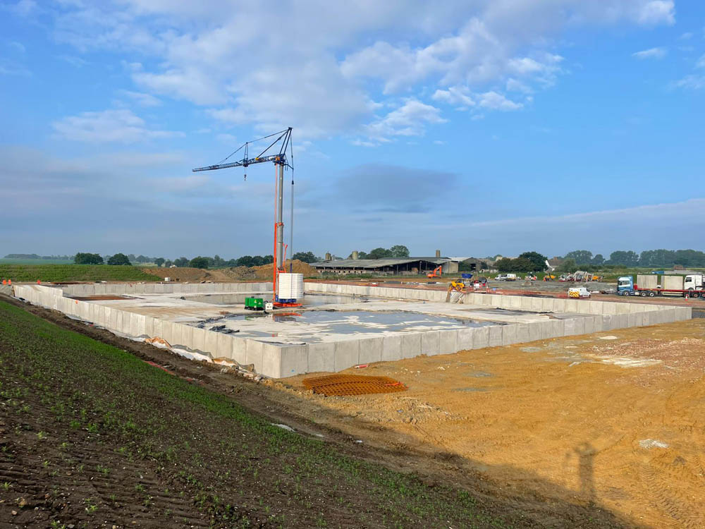 ad plant 37