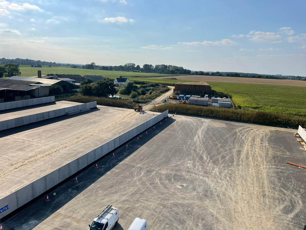 ad plant 45